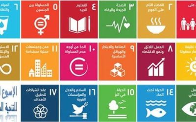 اجتماع إقليمي بمشاركة “رائد” في بيروت: