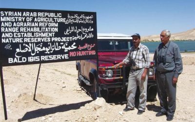 “الطبيعة المدمرة” تبقى شاهداً على الحرب في سوريا
