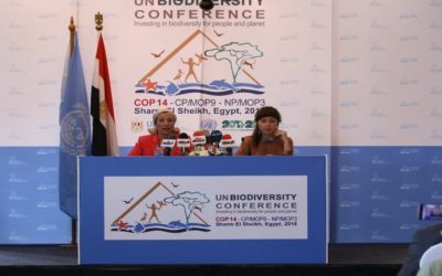 مؤتمر شرم الشيخ.. إطلاق إطار عمل جديد للتنوع البيولوجي 2020 – 2030