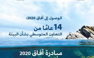التقرير النهائي لمبادرة آفاق 2020 يدعو لـ«متوسط أكثر اخضراراً»
