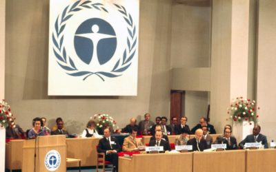 جمعية الأمم المتحدة للبيئة 2021.. نحو تعزيز التصالح مع الطبيعة