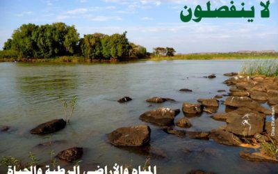 في يومها العالمي 2021.. الأراضي الرطبة والمياه والحياة لا ينفصلون