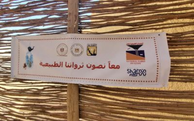 مصر تطلق خطة الإدارة البيئية للأنشطة البحرية بمحمية رأس محمد