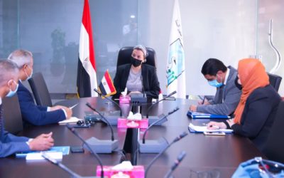 تعاون مشترك بين مصر والفاو في الزراعة المستدامة والطاقة الحيوية
