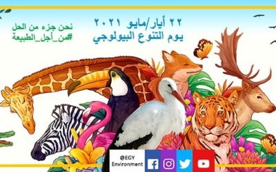 «نحن جزء من الحل».. مصر تشارك العالم الاحتفال بيوم التنوع البيولوجي