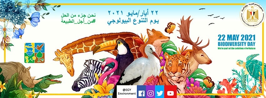 «نحن جزء من الحل».. مصر تشارك العالم الاحتفال بيوم التنوع البيولوجي