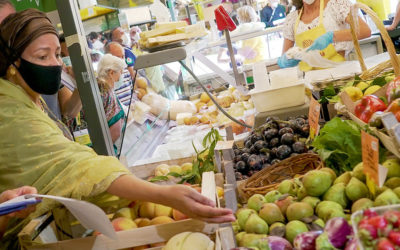 المزارعون شريان الحياة لأنظمتنا الغذائية.. محور مؤتمر ما قبل القمة العالمية