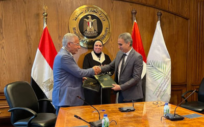 تعاون مصري إماراتي لتنظيم مهرجان دولي للتمور «أسوان 2022»