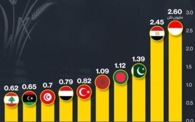 الأزمة الأوكرانية تهديد جديد للأمن الغذائي والسياحة في الشرق الأوسط