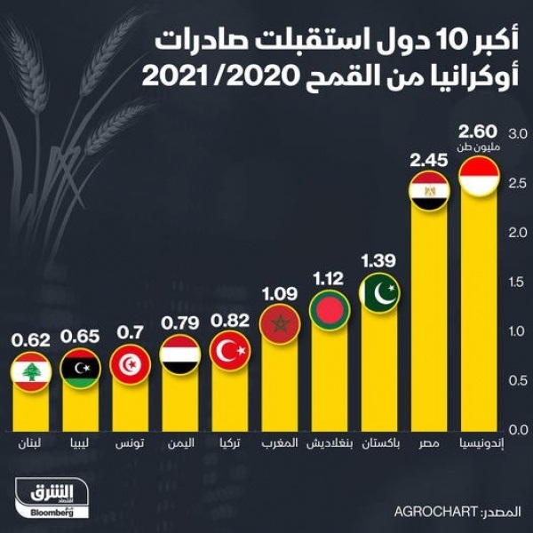 الأزمة الأوكرانية تهديد جديد للأمن الغذائي والسياحة في الشرق الأوسط