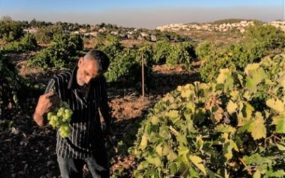 تدريب المزارعين الفلسطينيين على الممارسات المثلى لإدارة مياه الري