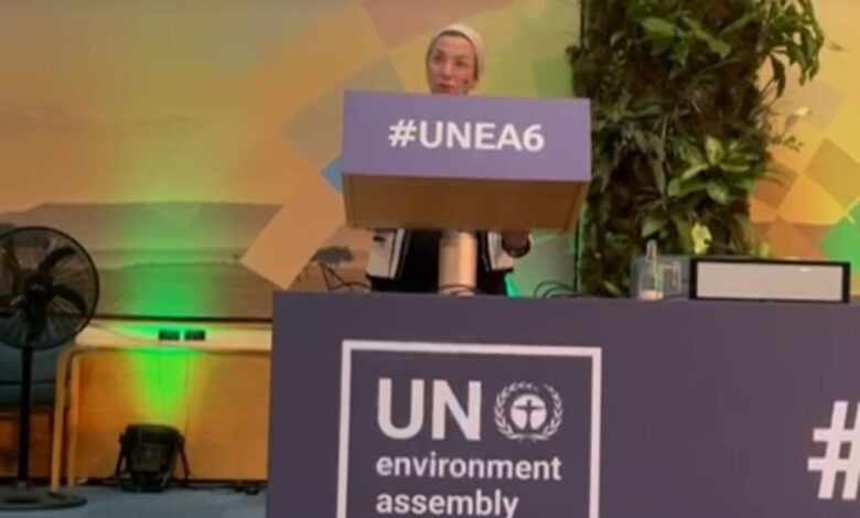 شبكة «رائد» ترحب ببيان مصر أمام جمعية الأمم المتحدة للبيئة