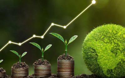 التمويل المختلط رهان الاقتصادات الناشئة لتسريع التحول الأخضر