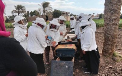 «تمكين المرأة».. مشروعات المرحلة السابعة لبرنامج المنح الصغيرة تؤتي ثمارها