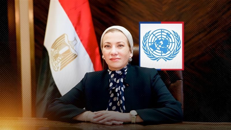 ياسمين فؤاد: «التصحر» يزيد معاناة الفقراء ويهدد غذاء الأغنياء ومازالت لدينا فرصة