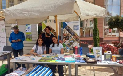 مشاركة متميزة لبرنامج المنح الصغيرة في محاكاة «COP-30» بالجامعة البريطانية في القاهرة