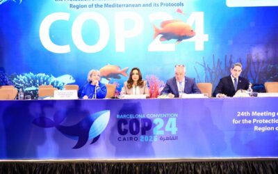 مصر تتسلم رئاسة مؤتمر برشلونة (COP-24) للمرة الأولى وسط مشاركة دولية واسعة