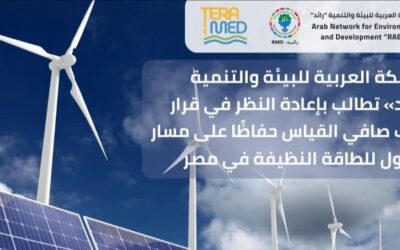 الشبكة العربية للبيئة والتنمية «رائد» تطالب بإعادة النظر في قرار وقف صافي القياس حفاظًا على مسار التحول للطاقة النظيفة في مصر