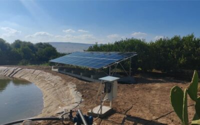 الطاقة الشمسية تعيد رسم الخريطة الزراعية في الأردن.. تحويل التحديات إلى فرص مستدامة