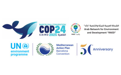 انتخاب شبكة «رائد» عضواً في اللجنة المتوسطية للتنمية المستدامة (MCSD)